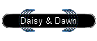 Daisy & Dawn